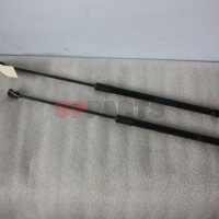 Corsa E Tailgate gas strutts 315005777
