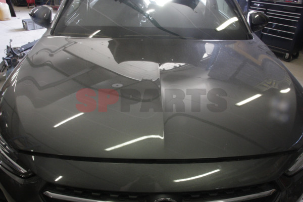 Corsa F ENGINE HOOD 9837498080